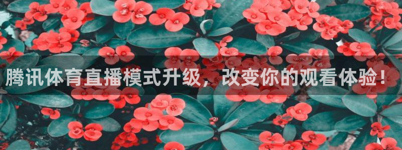 腾讯体育直播模式升级，改变你的观看体验！