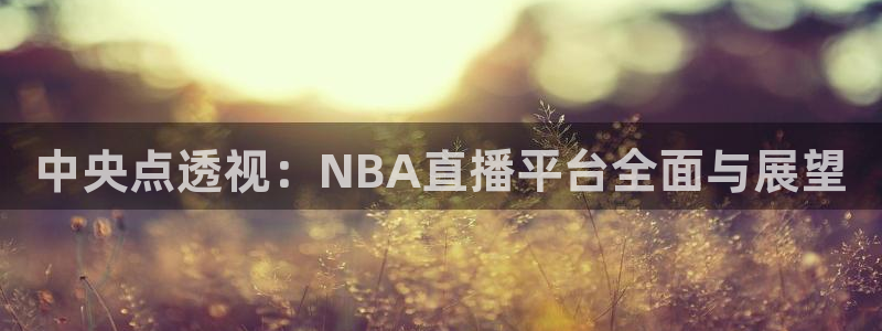 中央点透视：NBA直播平台全面与展望