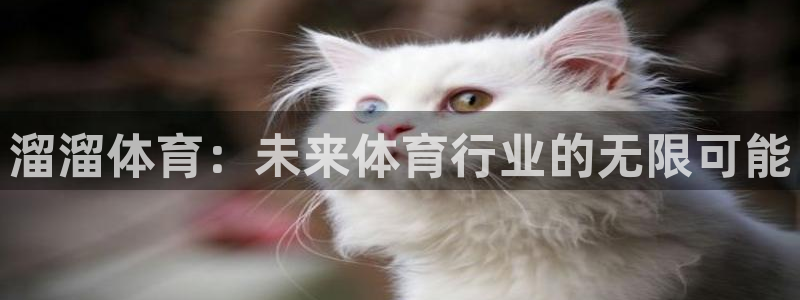 溜溜体育：未来体育行业的无限可能