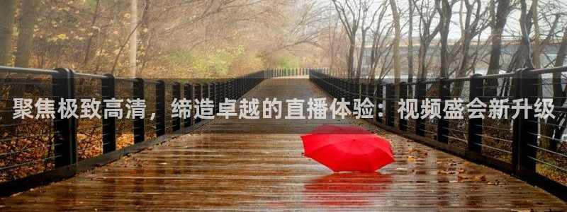 聚焦极致高清，缔造卓越的直播体验：视频盛会新升级