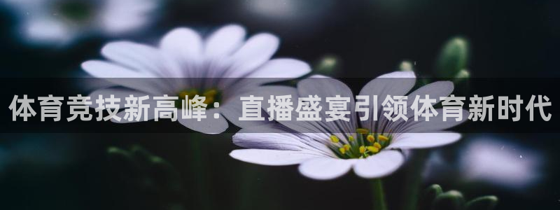 体育竞技新高峰：直播盛宴引领体育新时代
